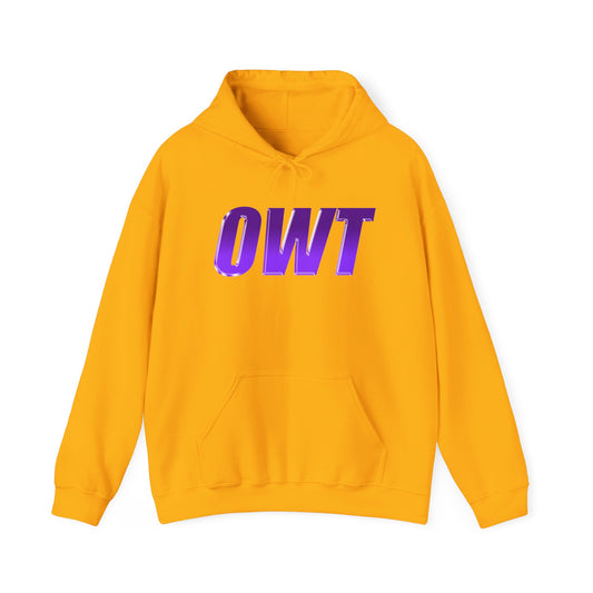 CHROME OWT HOODIE